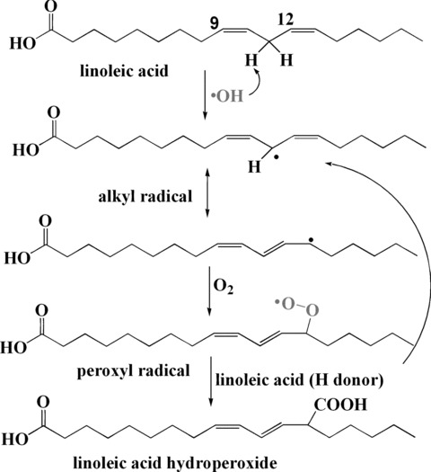 Fig 12