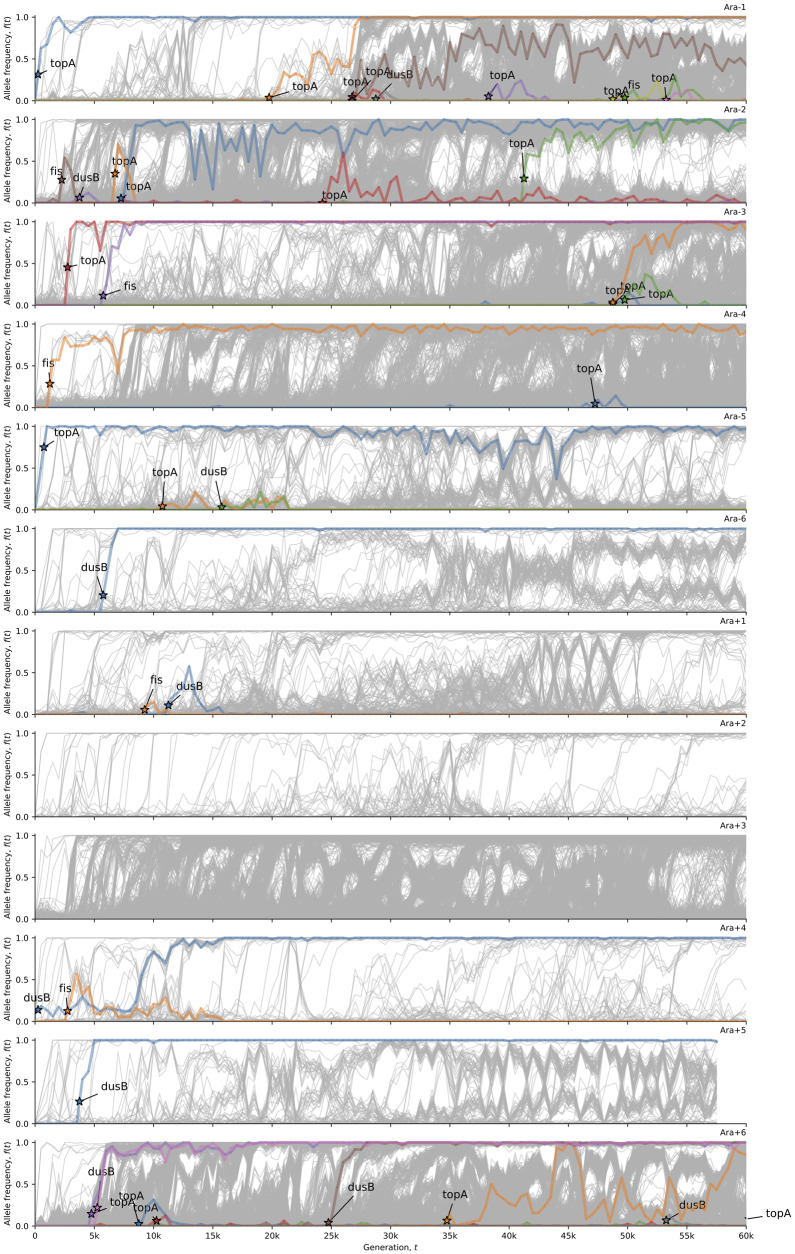 Fig. 8.