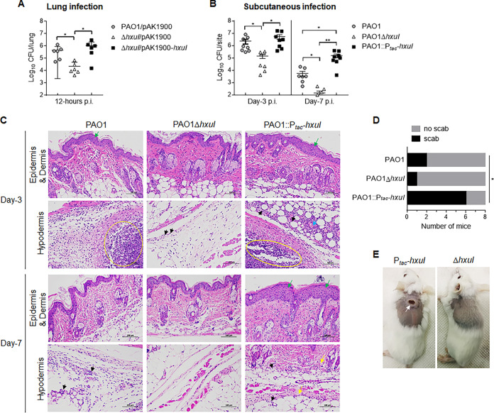 FIG 6