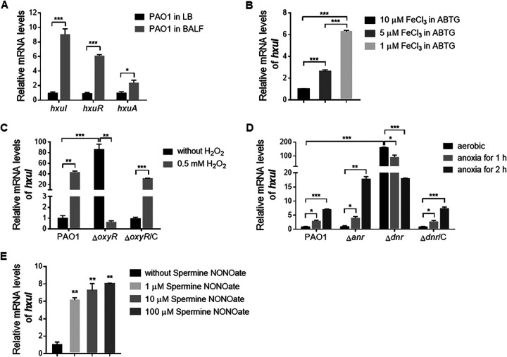 FIG 2