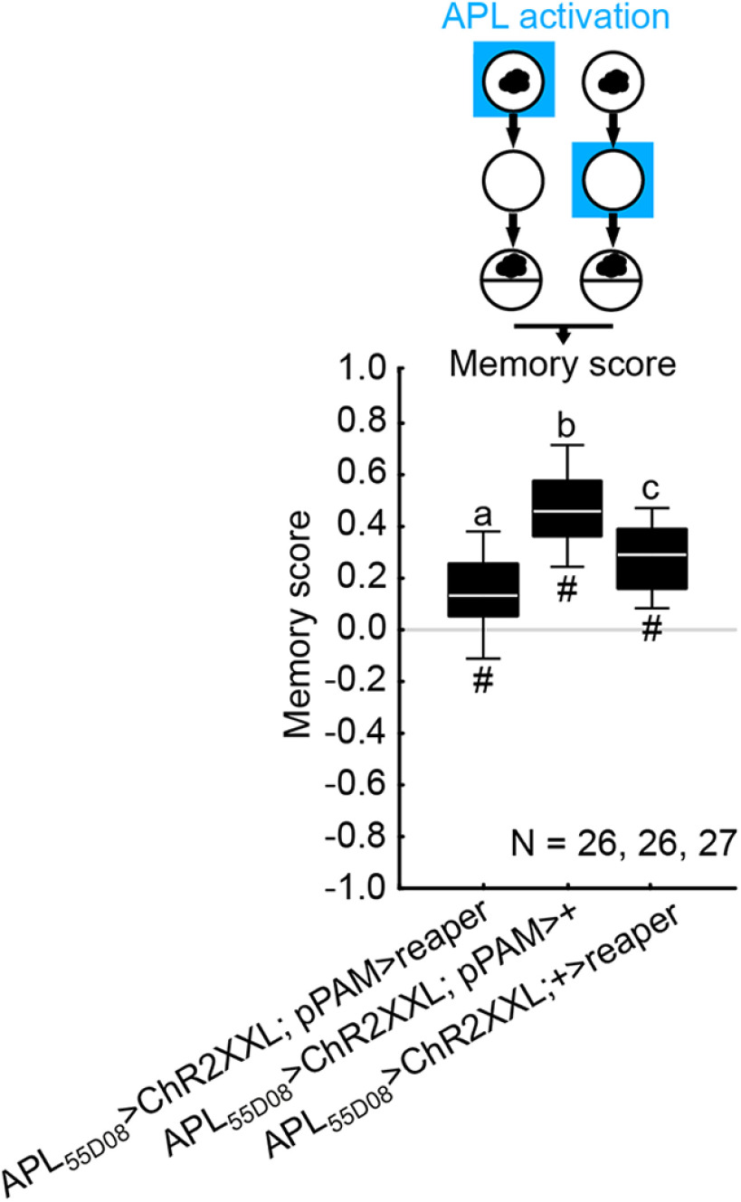 Figure 18.