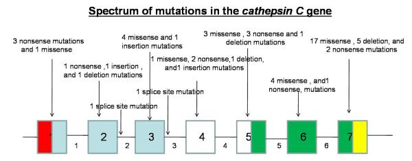 Figure1