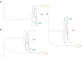 F<sc>ig</sc>. 5.—