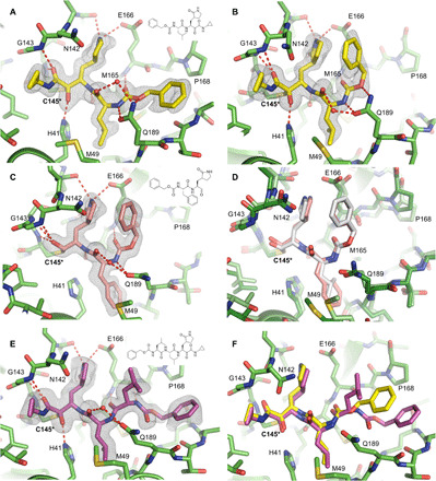 Fig. 4