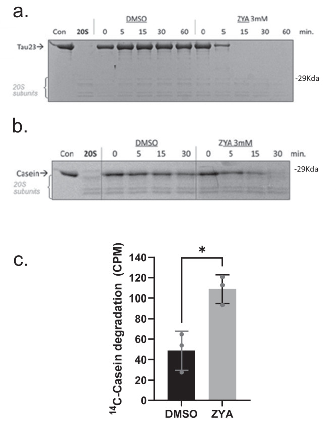 Fig. 4