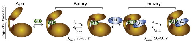 Fig. 6