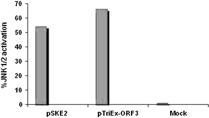 Fig. 3