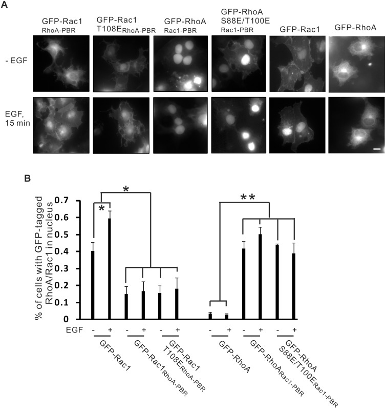 Fig 9