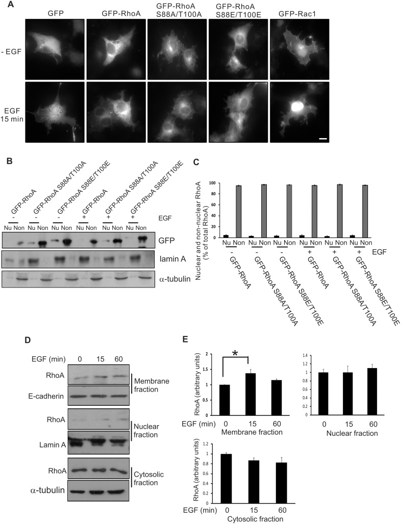 Fig 8