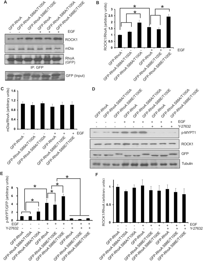 Fig 7