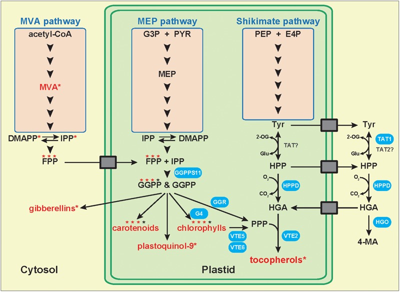 FIGURE 2