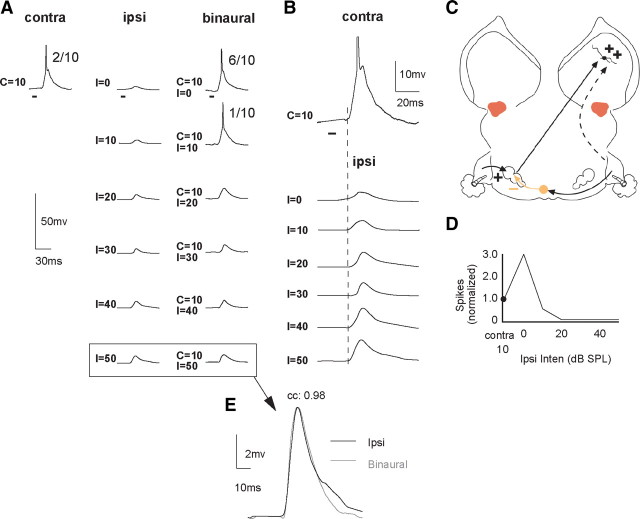 Figure 9.