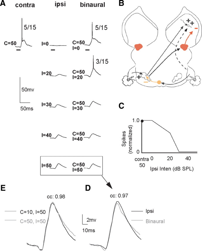 Figure 10.