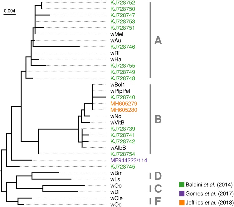 FIG 3