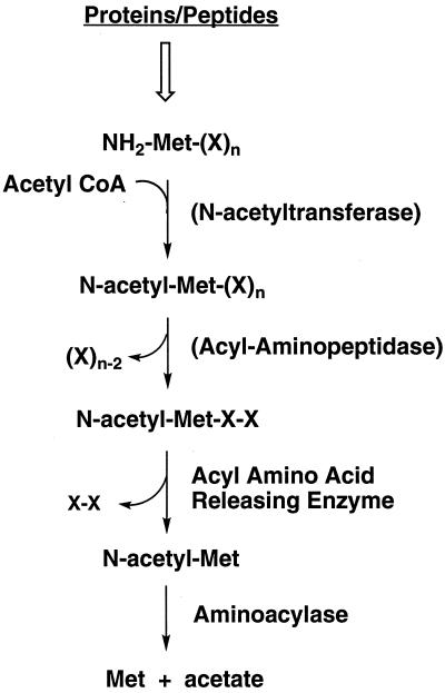 FIG. 7