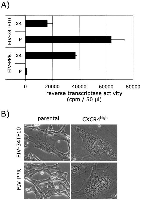 FIG. 7.