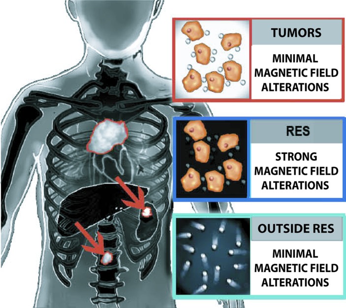 Figure 4b: