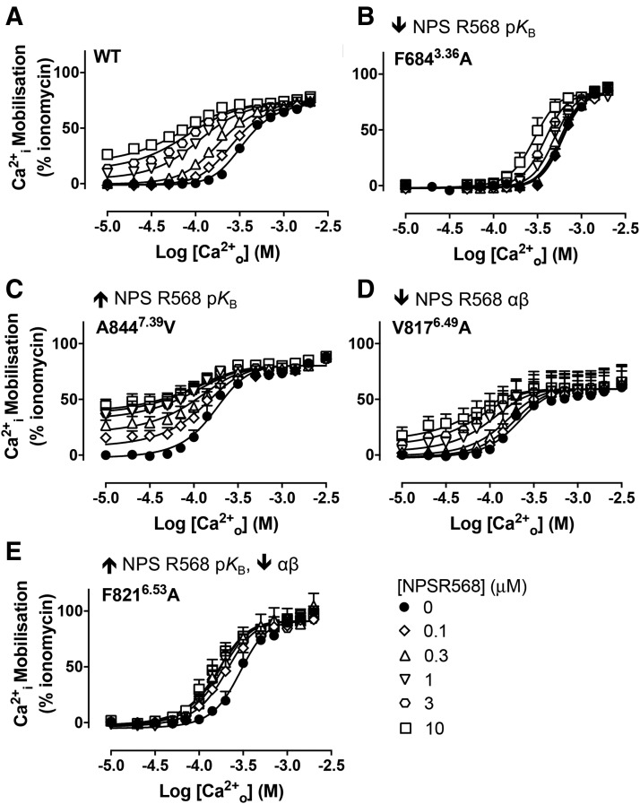 Fig. 2.