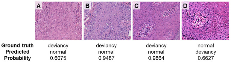 Figure 6