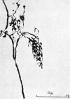 488-2