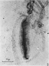 488-3