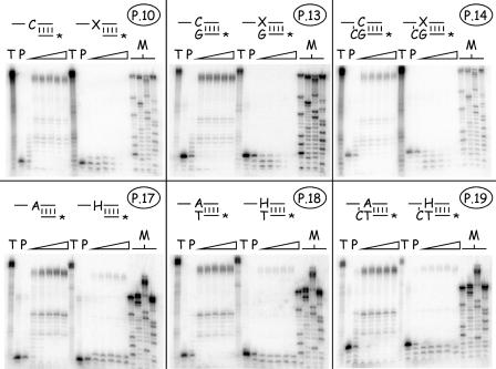 FIG. 10.