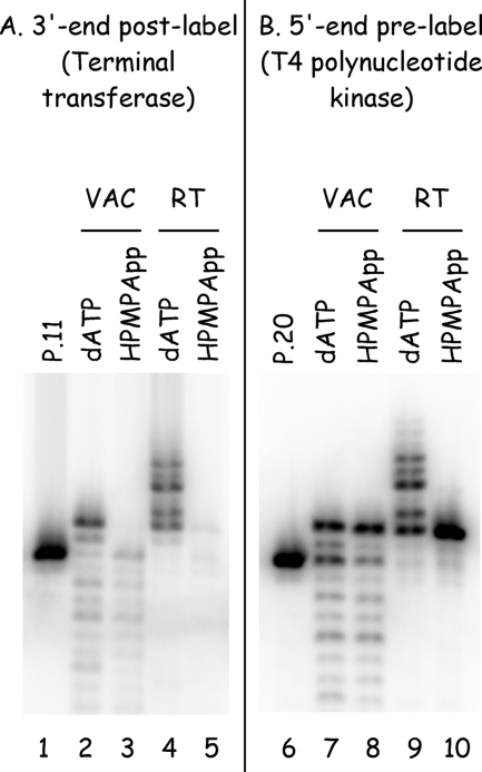 FIG. 8.