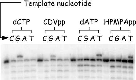 FIG. 6.