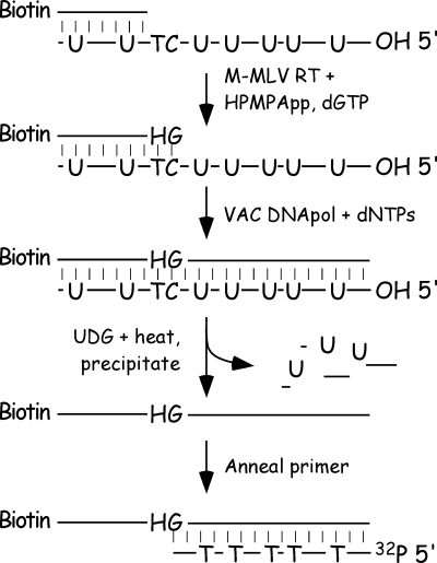 FIG. 7.