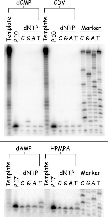 FIG. 9.