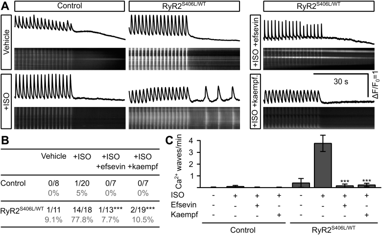 Figure 6