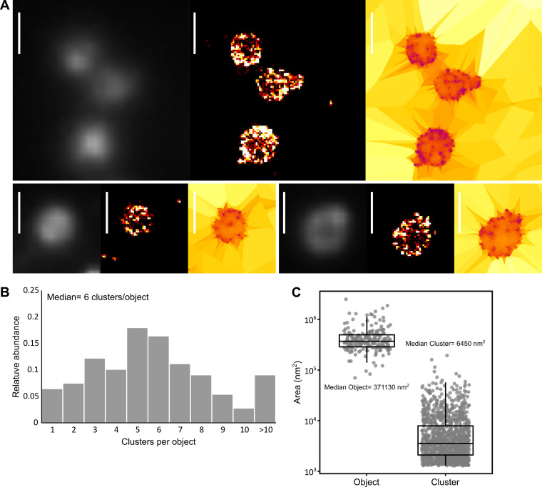 FIG 3