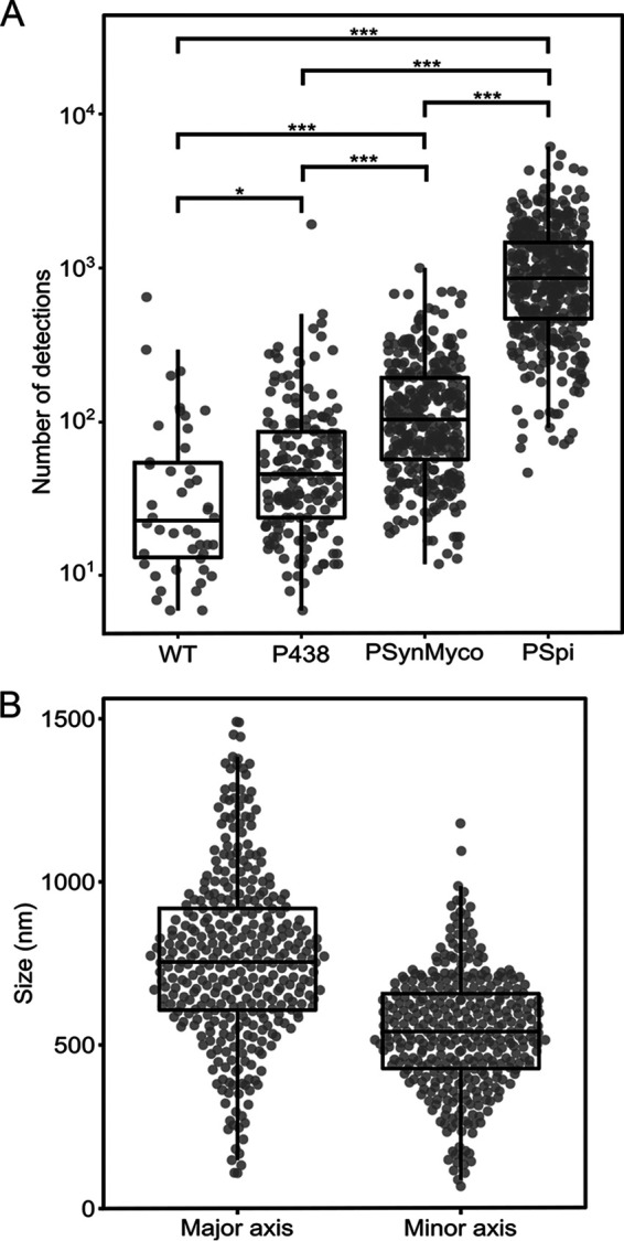 FIG 5