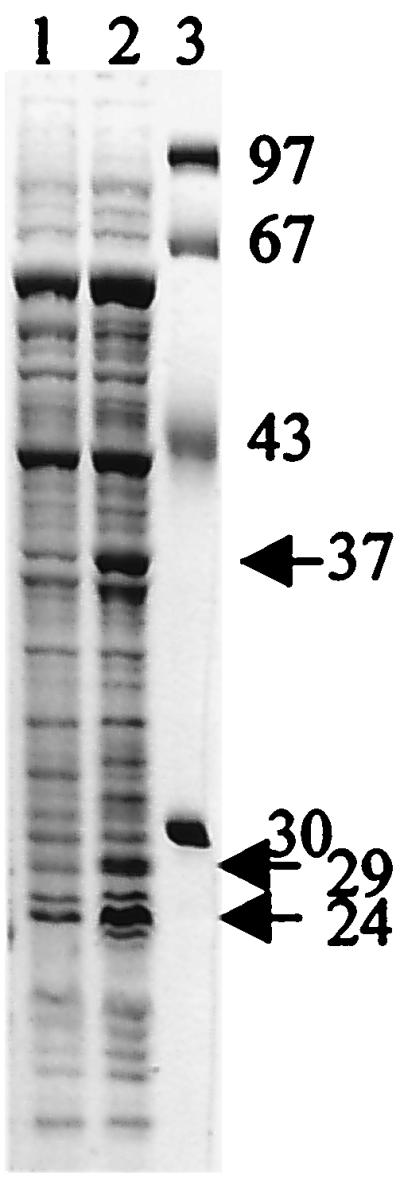 FIG. 8.