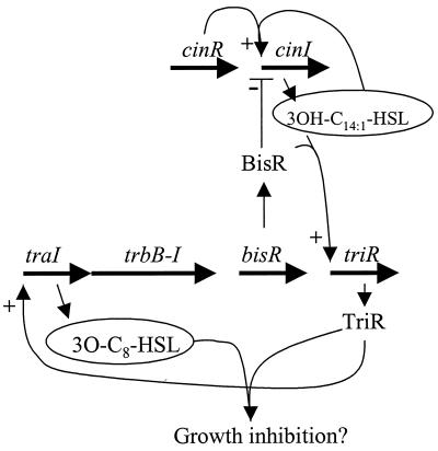 FIG. 9.