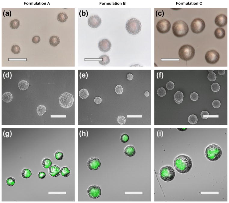 Fig. 11