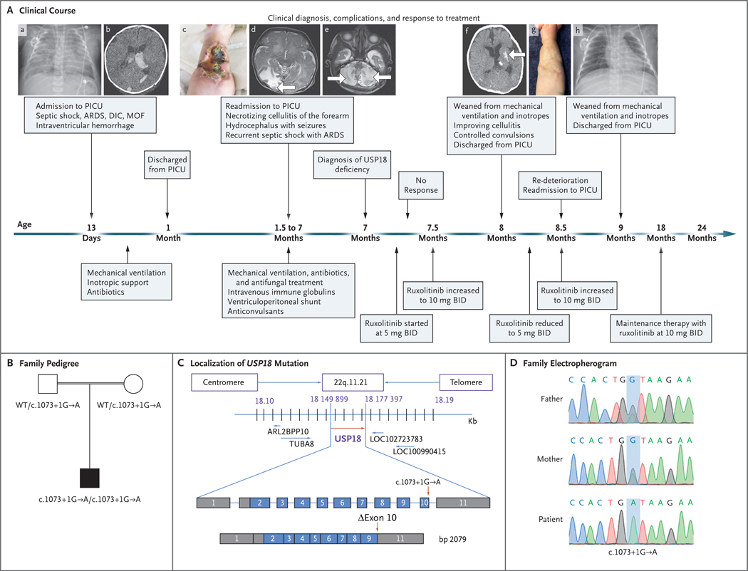 Figure 2 (facing page).