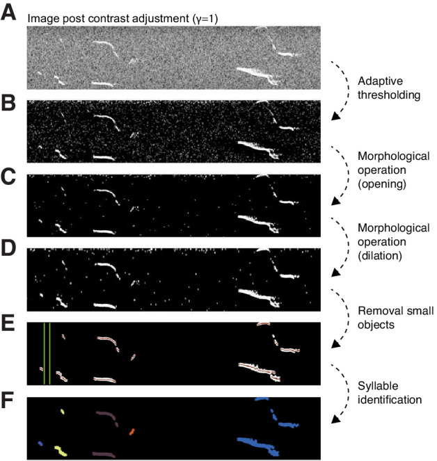 Figure 1—figure supplement 1.