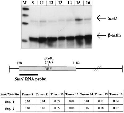 FIG. 8