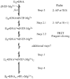Fig. 9
