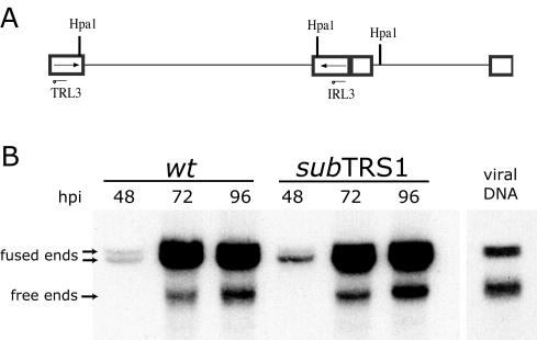 FIG. 5.