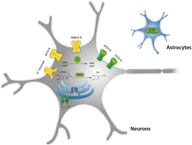 Fig. 3