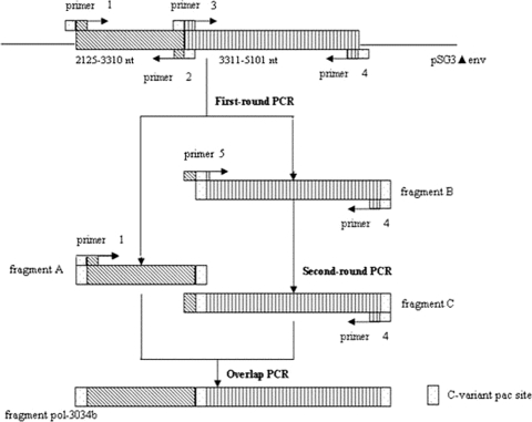 FIG. 1.