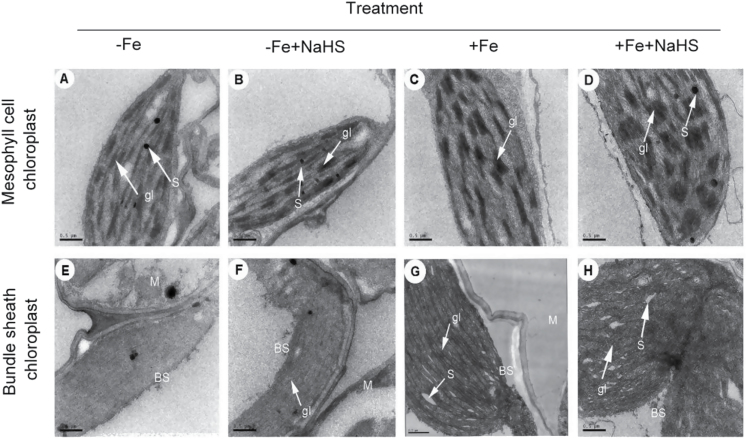 Fig. 7.