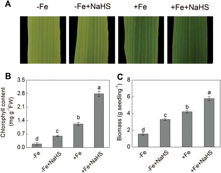 Fig. 2.