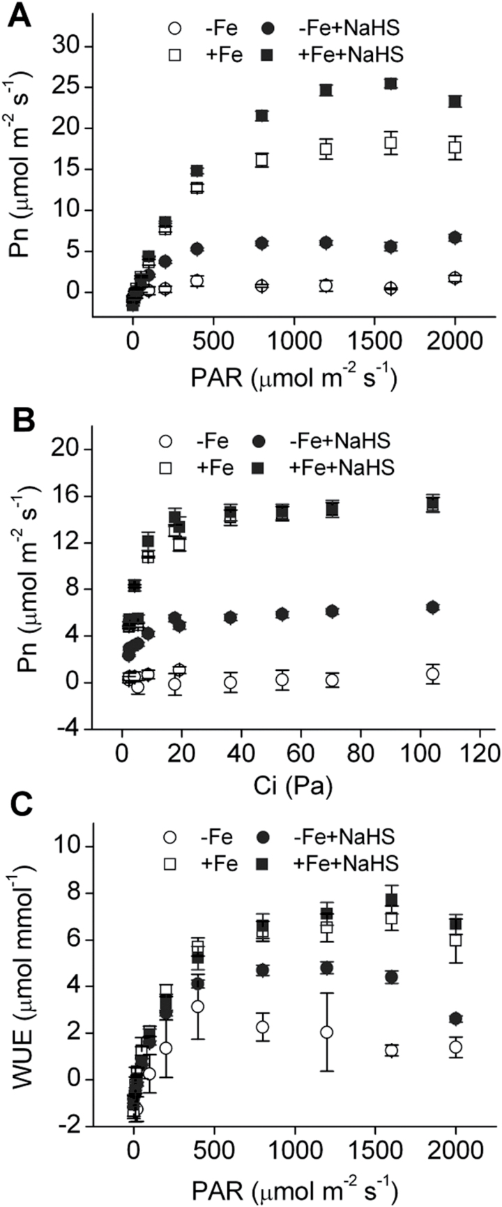 Fig. 9.