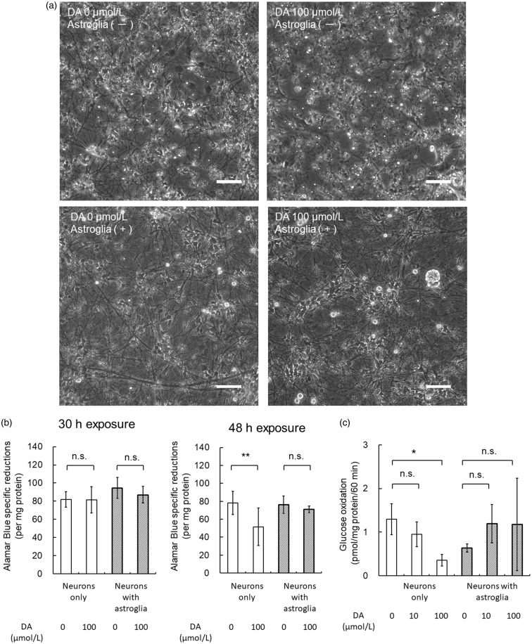 Figure 13.