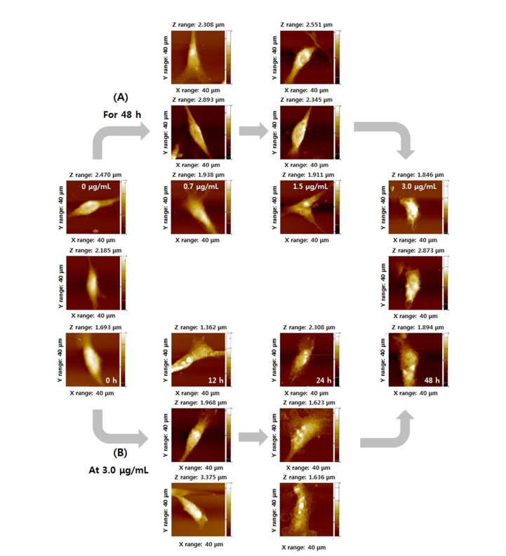 Fig. 3