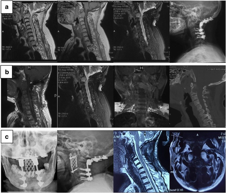 Fig. 4