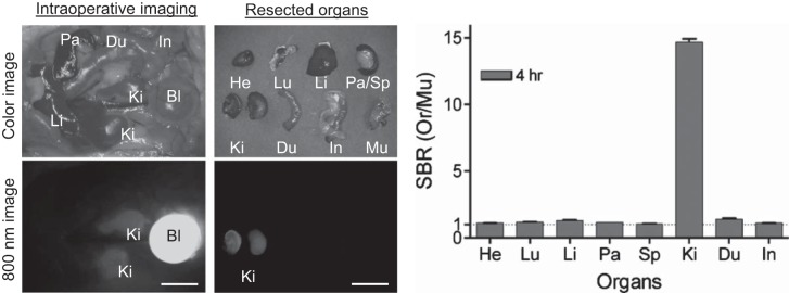 Fig. 3.